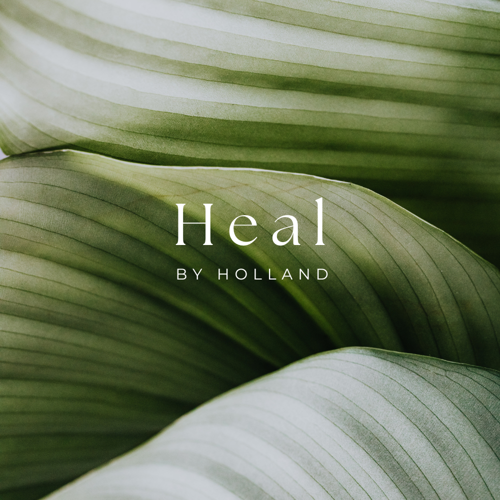Heal by Holland Branding and Logo Design - Kristina Nihan Design Marketing UX UI Small Business Contractor