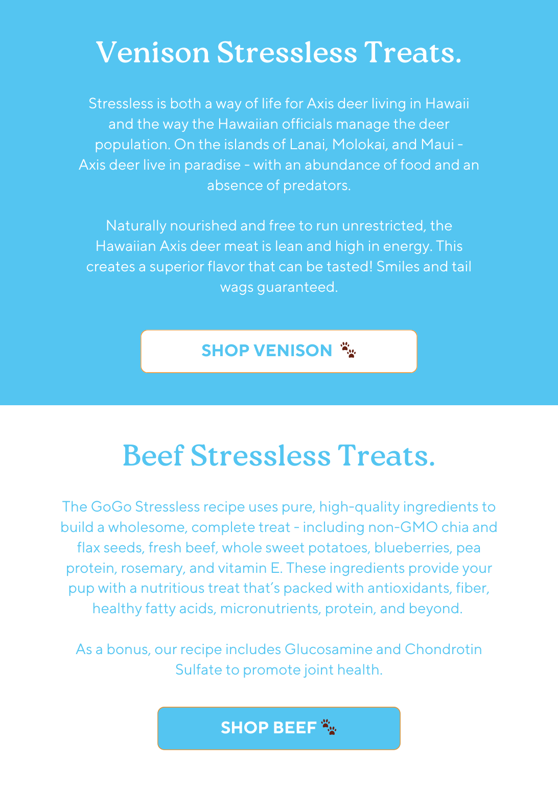 GoGo Pet Products Email Newsletter Marketing - Kristina Nihan Design Marketing UX UI Small Business