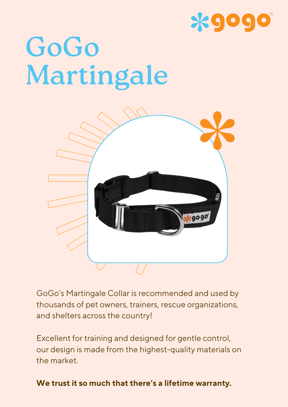 GoGo Pet Products Email Newsletter Marketing - Kristina Nihan Design Marketing UX UI Small Business