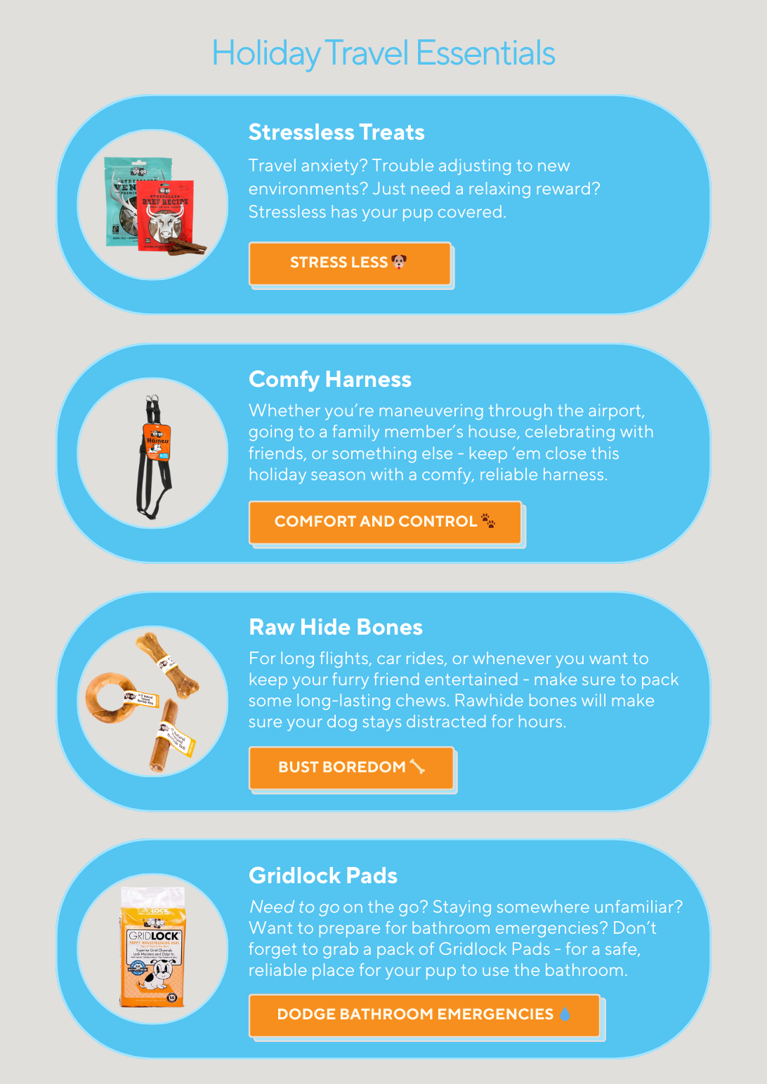 GoGo Pet Products Email Newsletter Marketing - Kristina Nihan Design Marketing UX UI Small Business