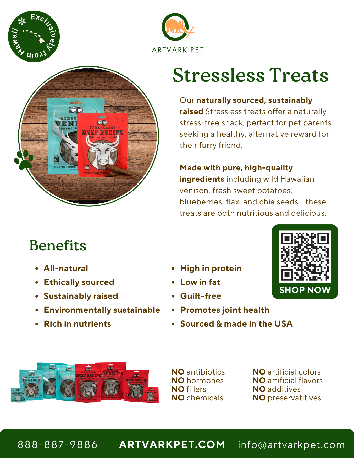 Artvark Pet Products Flyer - Kristina Nihan Design Marketing UX UI Small Business 