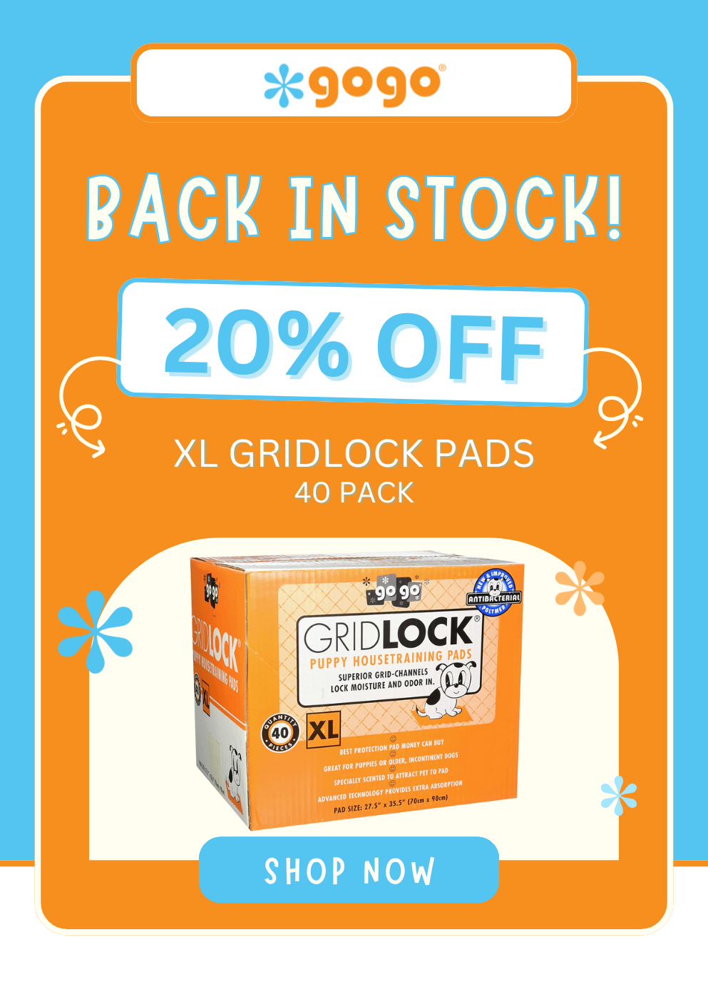 GoGo Pet Products Email Newsletter Marketing - Kristina Nihan Design Marketing UX UI Small Business