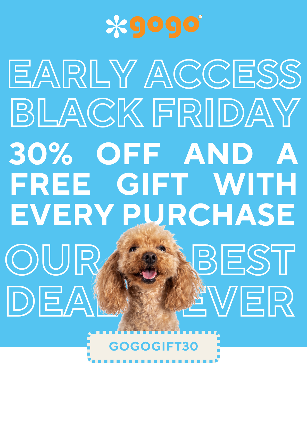 GoGo Pet Products Email Newsletter Marketing - Kristina Nihan Design Marketing UX UI Small Business