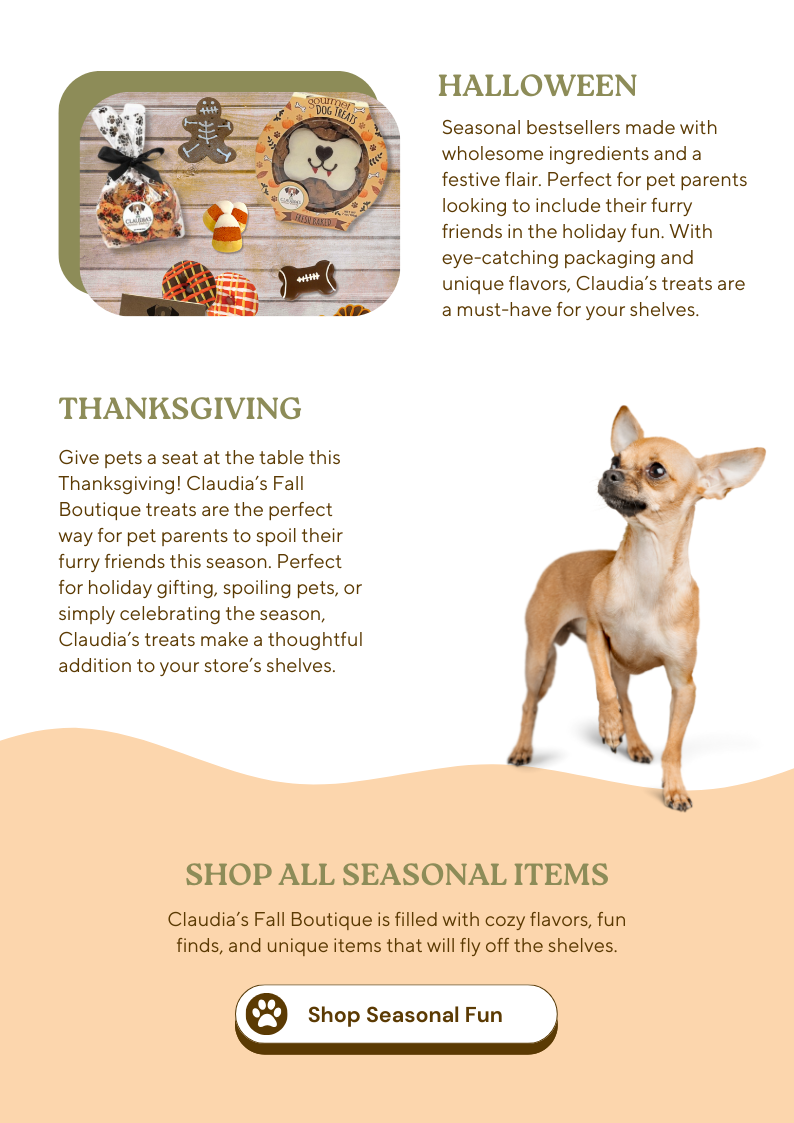 Artvark Pet Products Email Newsletter Marketing - Kristina Nihan Design Marketing UX UI Small Business 