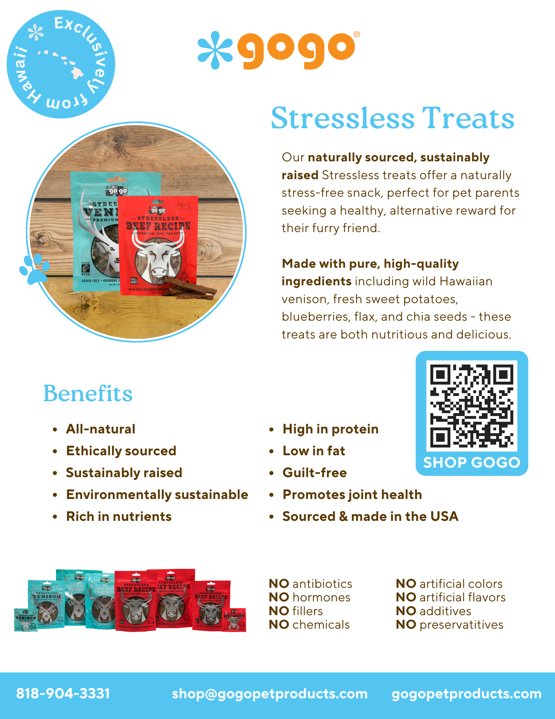 GoGo Pet Products Flyer - Kristina Nihan Design Marketing UX UI Small Business
