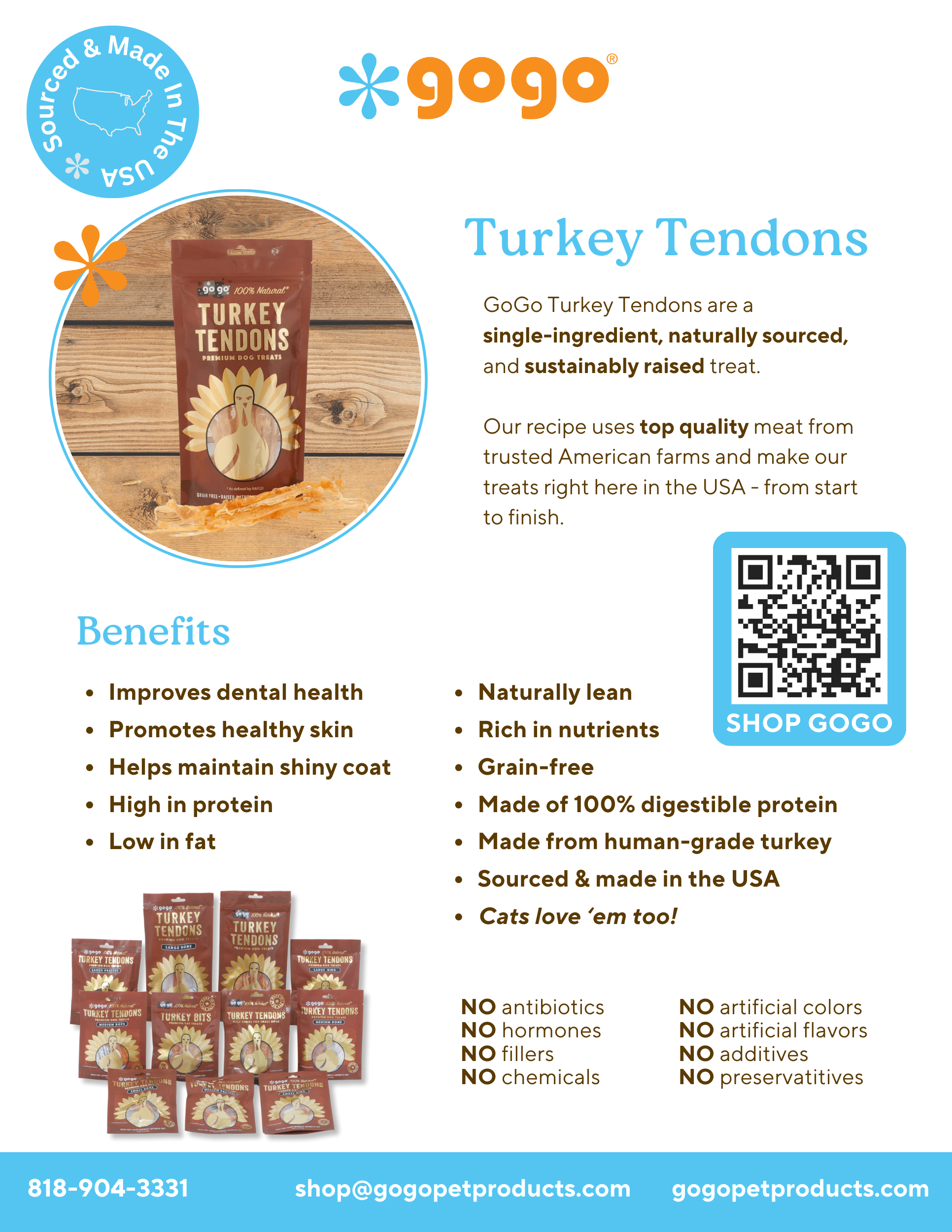 GoGo Pet Products Flyer - Kristina Nihan Design Marketing UX UI Small Business