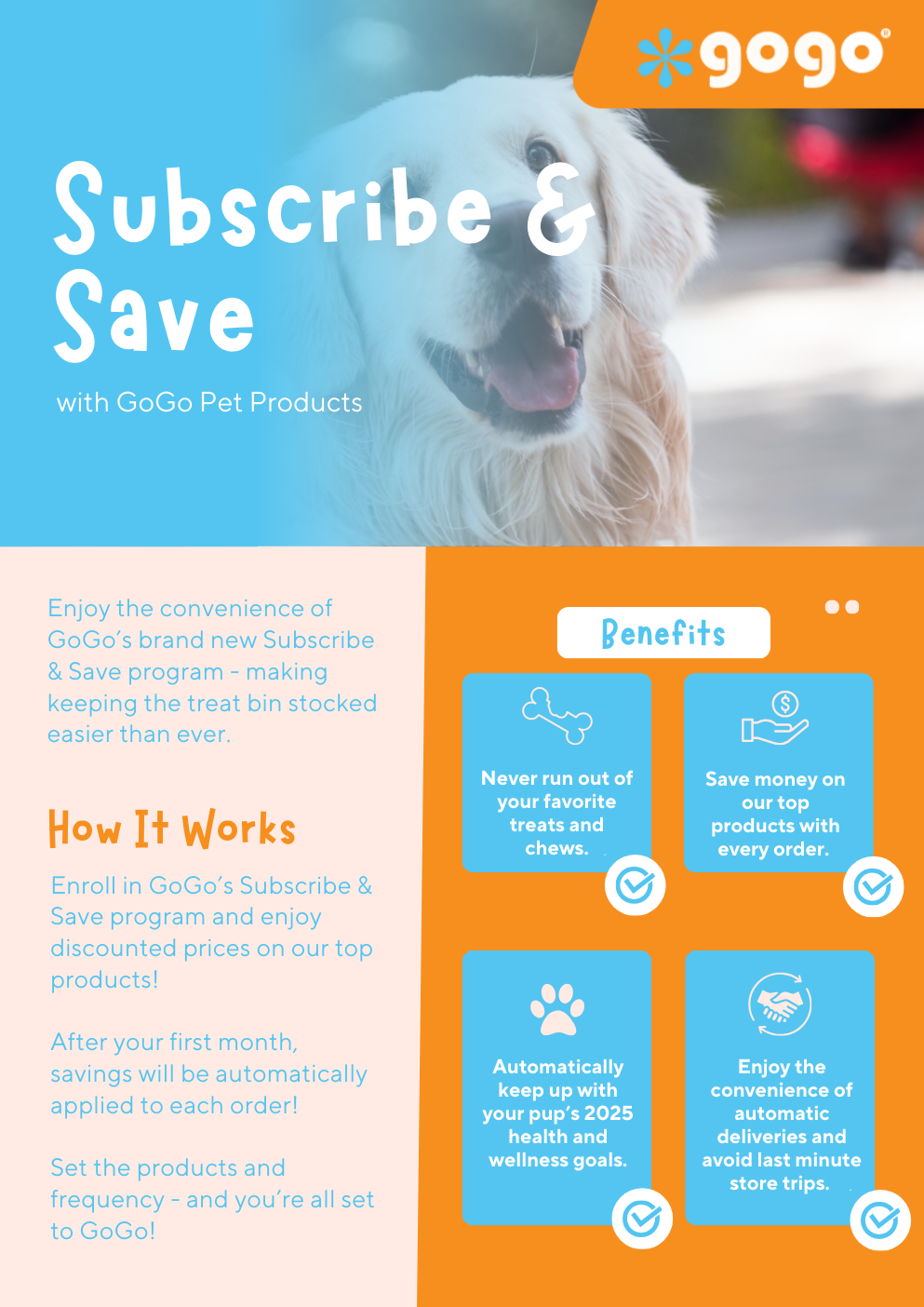 GoGo Pet Products Email Newsletter Marketing - Kristina Nihan Design Marketing UX UI Small Business
