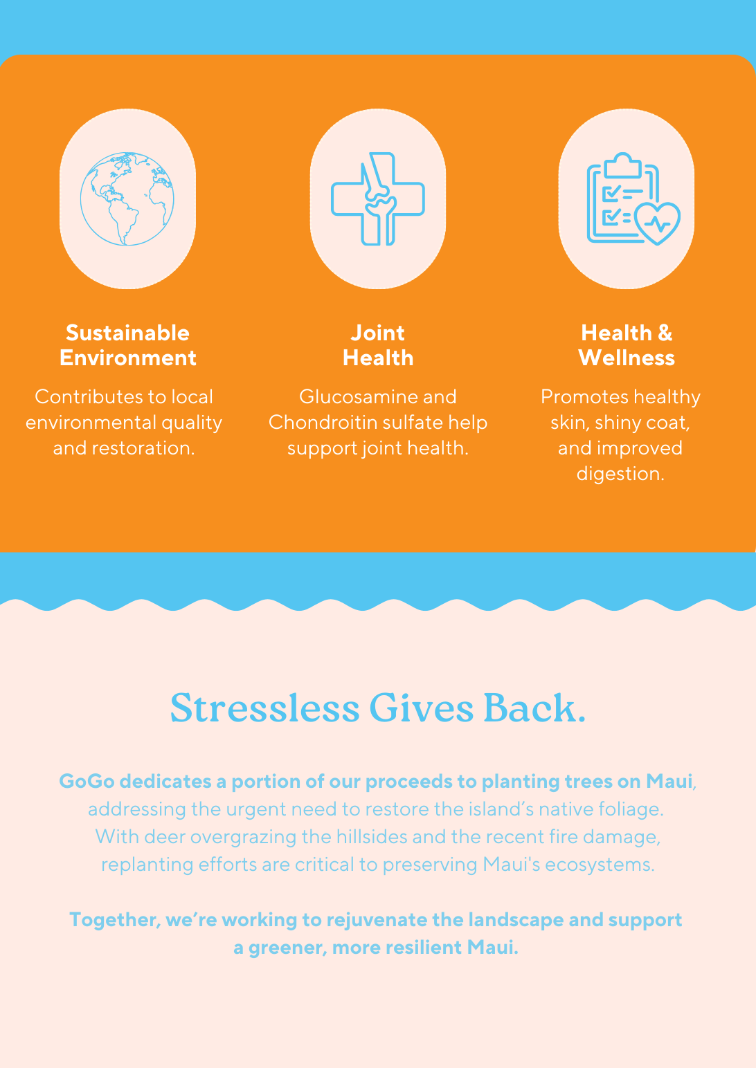 GoGo Pet Products Email Newsletter Marketing - Kristina Nihan Design Marketing UX UI Small Business