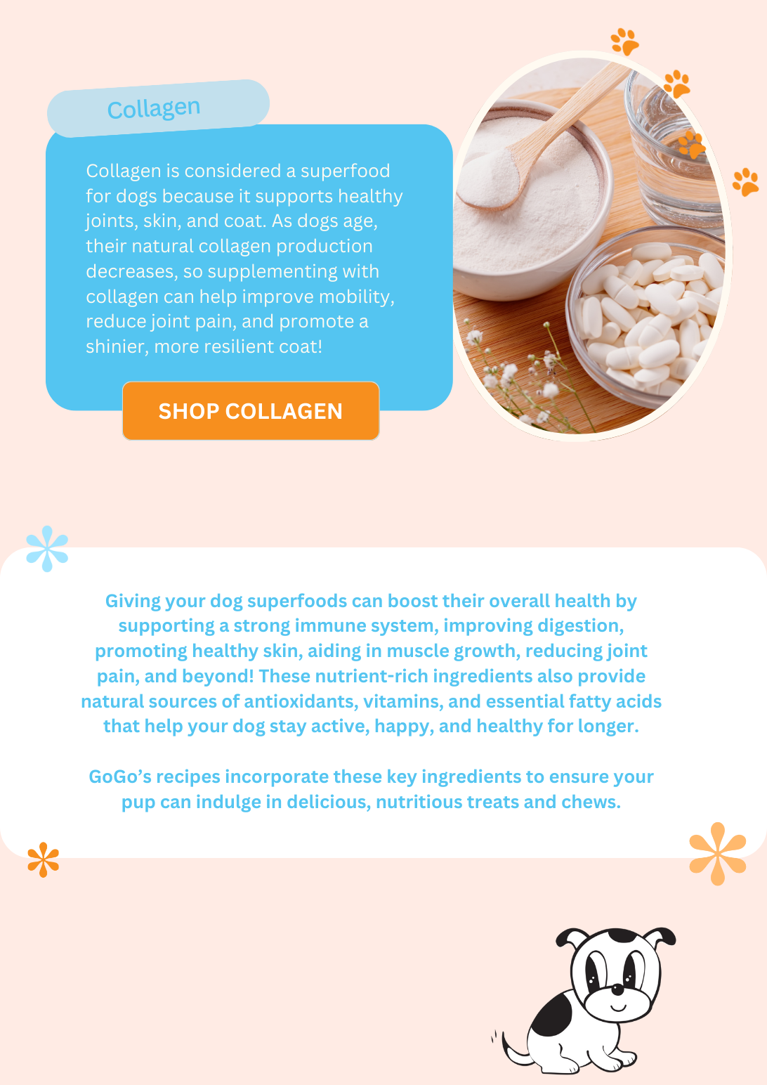 GoGo Pet Products Email Newsletter Marketing - Kristina Nihan Design Marketing UX UI Small Business