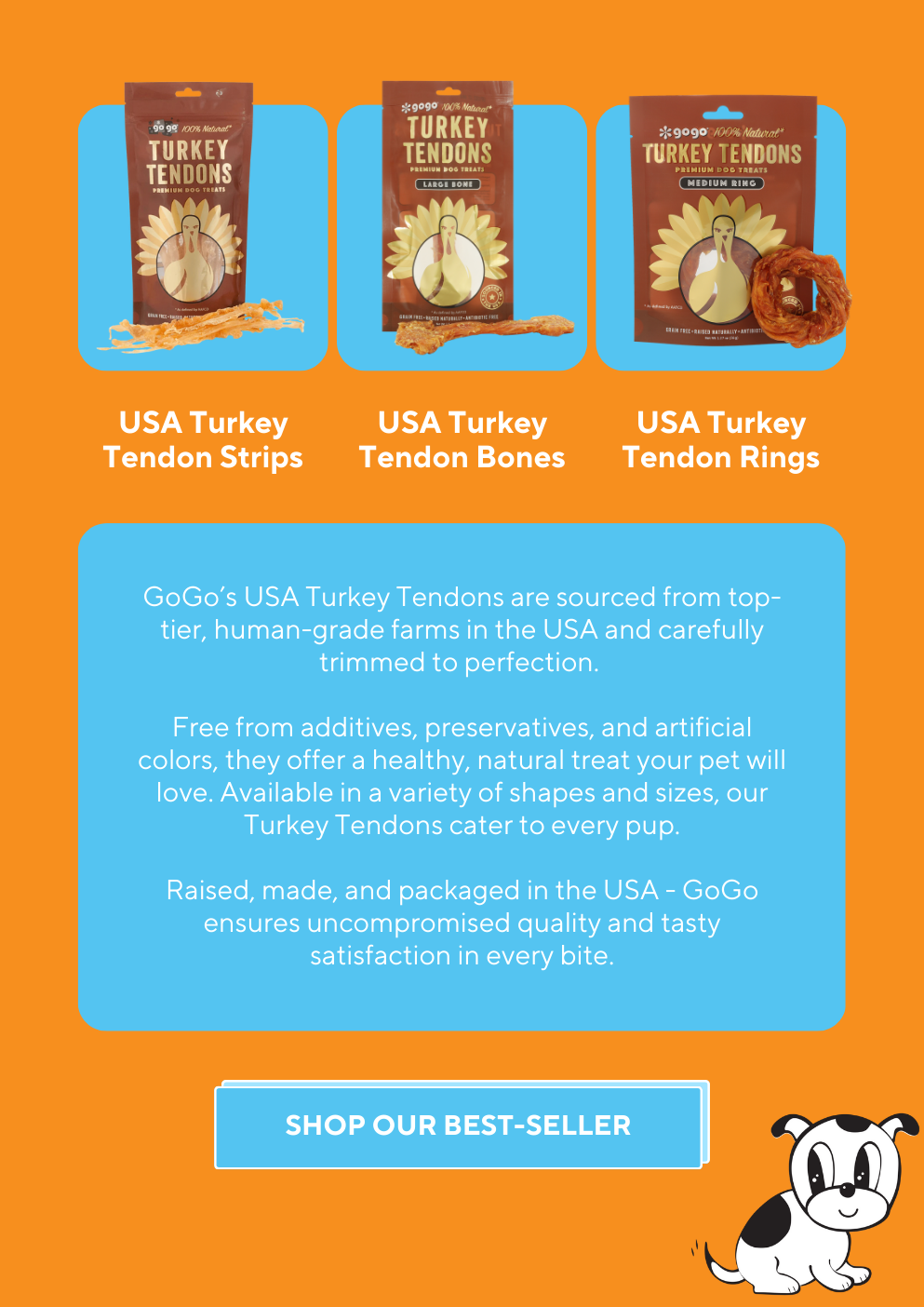 GoGo Pet Products Email Newsletter Marketing - Kristina Nihan Design Marketing UX UI Small Business