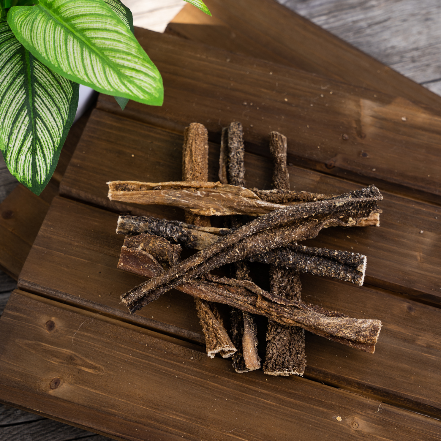 Artvark Pet Products Social Media Marketing - Kristina Nihan Design Marketing UX UI Small Business