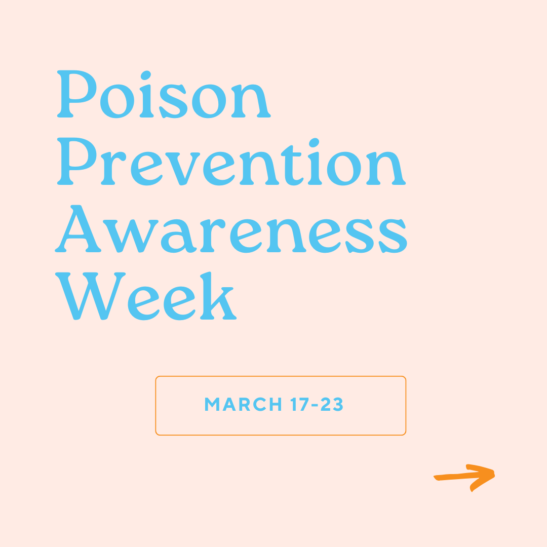 GoGo Pet Products Social Media Marketing - Kristina Nihan Design Marketing UX UI Small Business Contractor