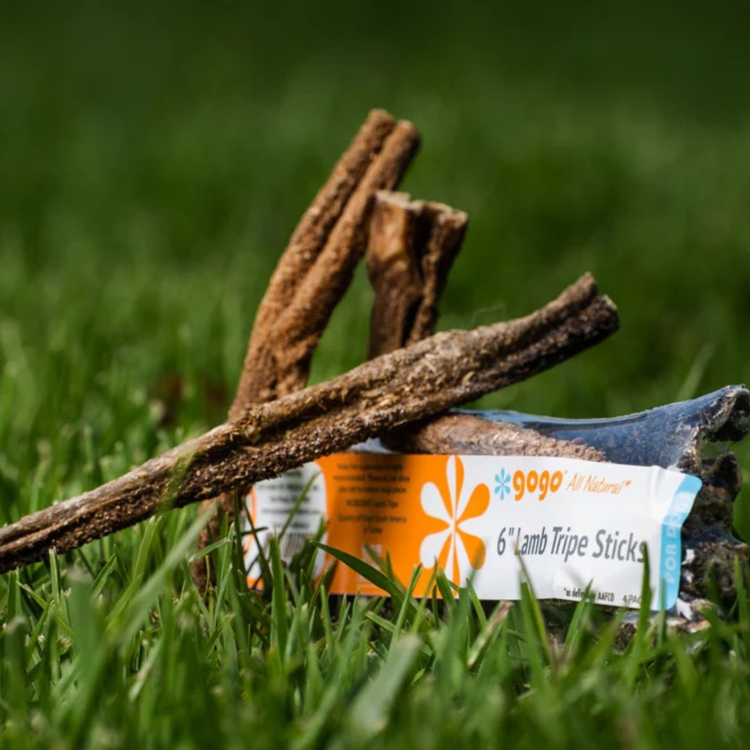 GoGo Pet Products Social Media Marketing - Kristina Nihan Design Marketing UX UI Small Business