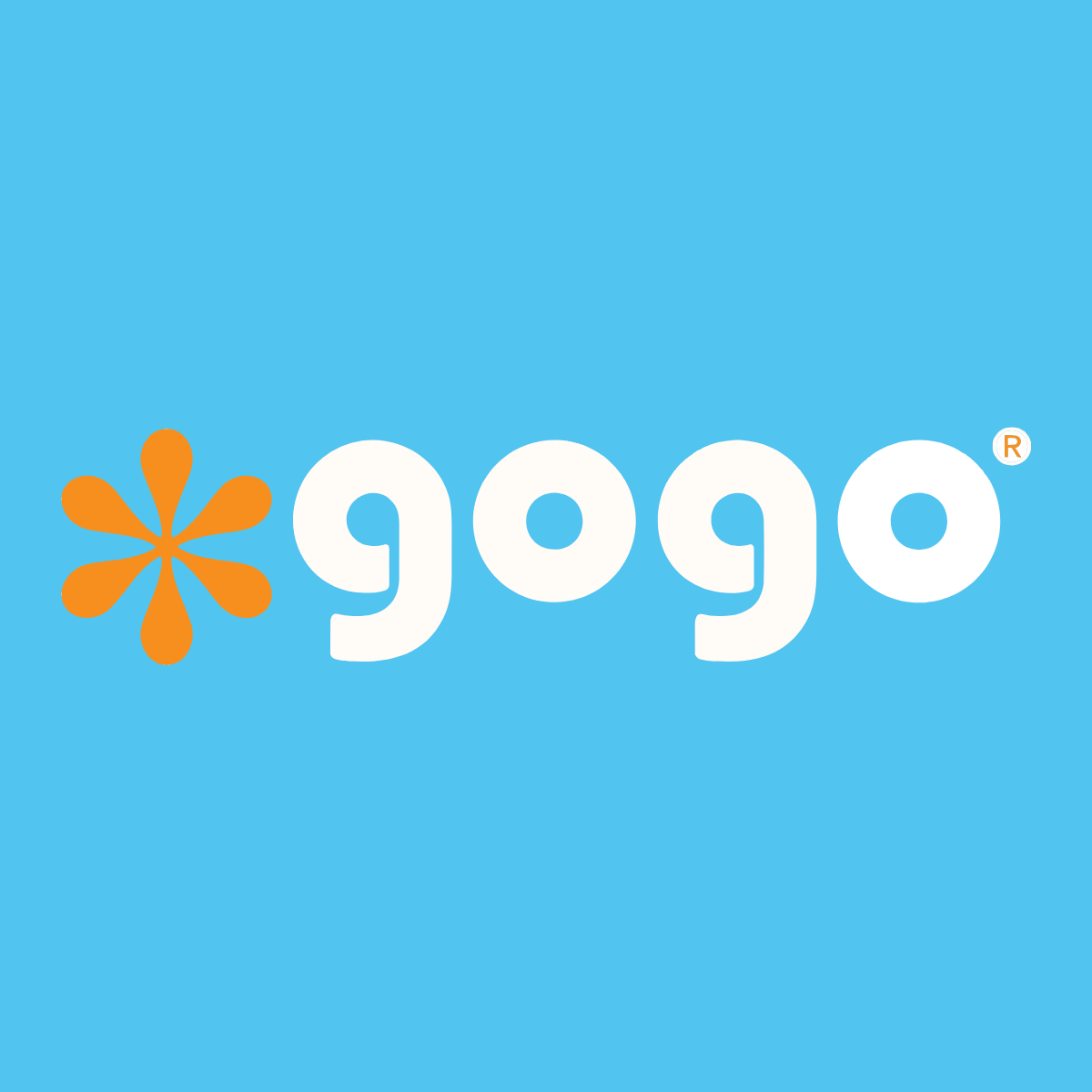 GoGo Pet Products Logo and Brand Marketing - Kristina Nihan Design Marketing UX UI Small Business
