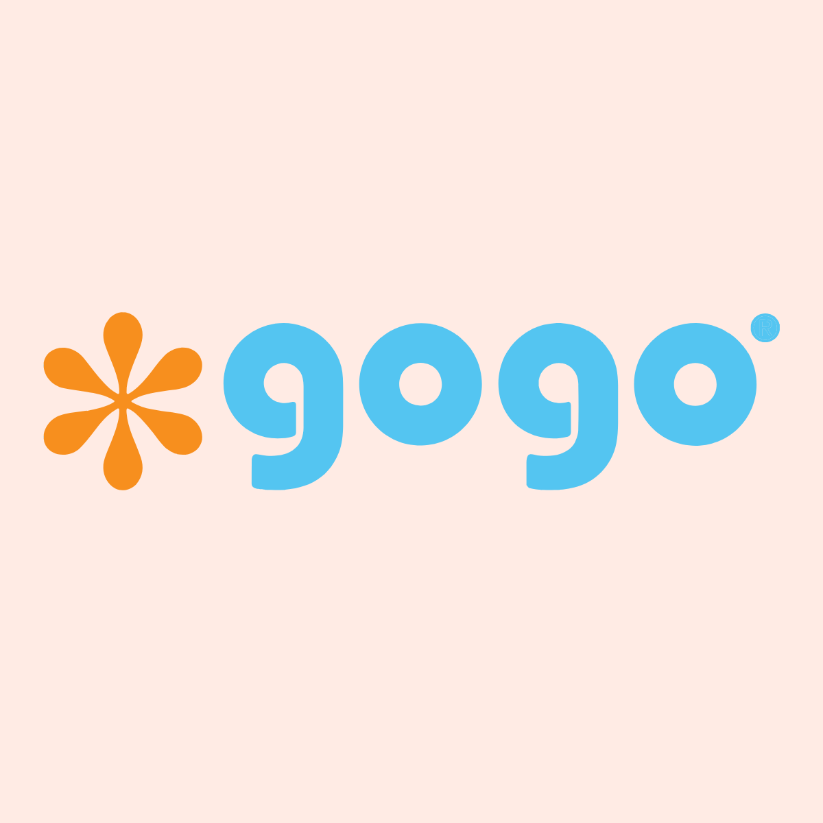 GoGo Pet Products Logo and Brand Marketing - Kristina Nihan Design Marketing UX UI Small Business