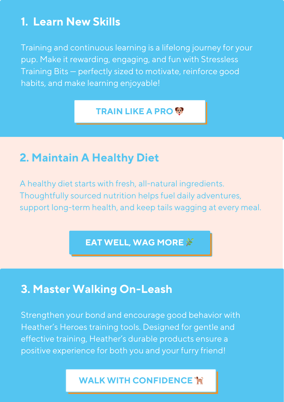 GoGo Pet Products Email Newsletter Marketing - Kristina Nihan Design Marketing UX UI Small Business