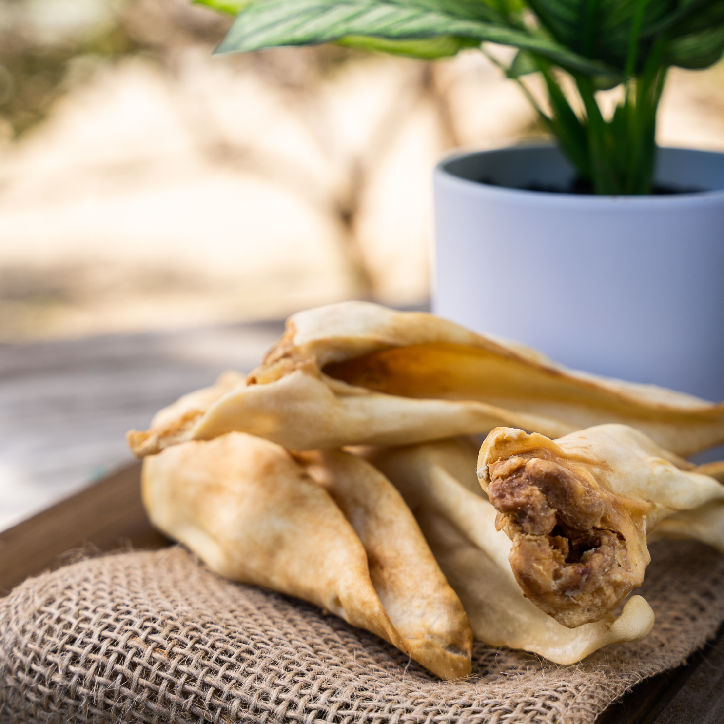 Artvark Pet Products Social Media Marketing - Kristina Nihan Design Marketing UX UI Small Business