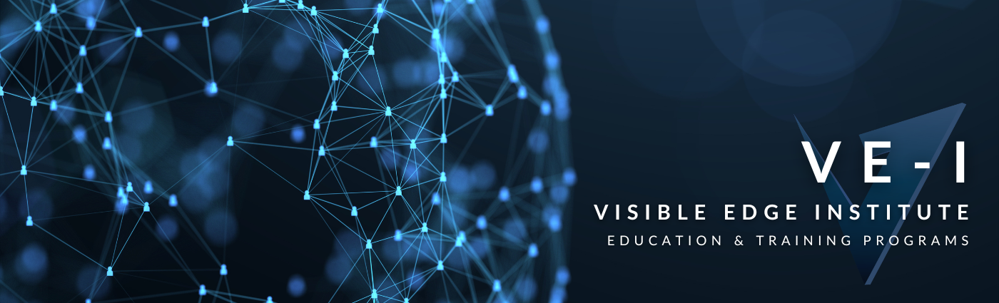 Digital illustration of a network with interconnected blue nodes and lines, with text overlay reading "VE-I, Visible Edge Institute, Education & Training Programs."