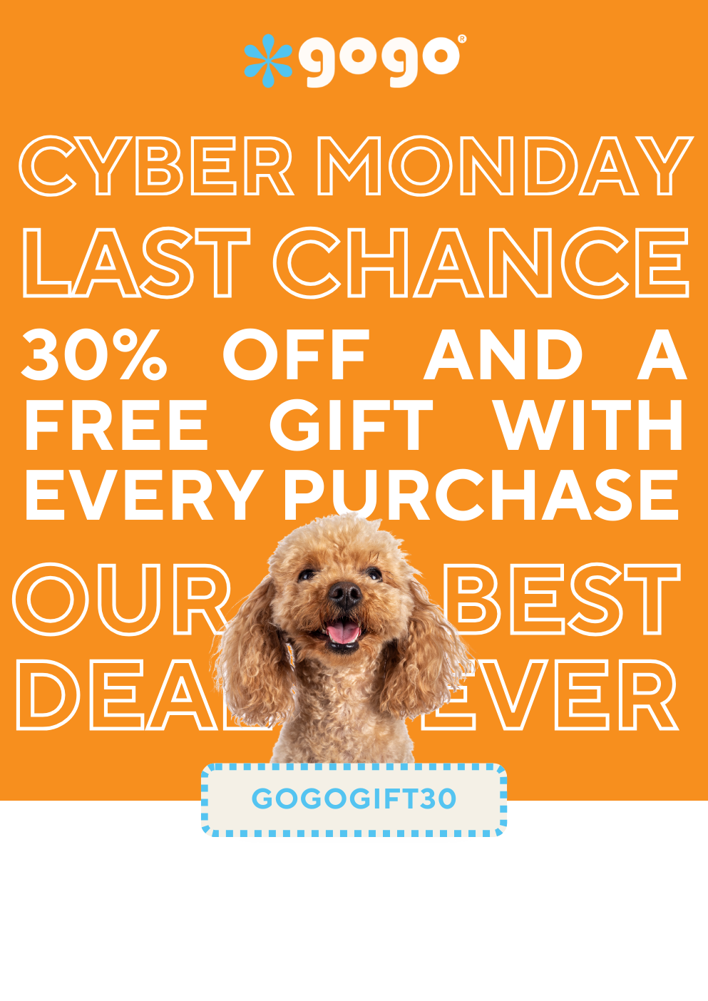 GoGo Pet Products Email Newsletter Marketing - Kristina Nihan Design Marketing UX UI Small Business