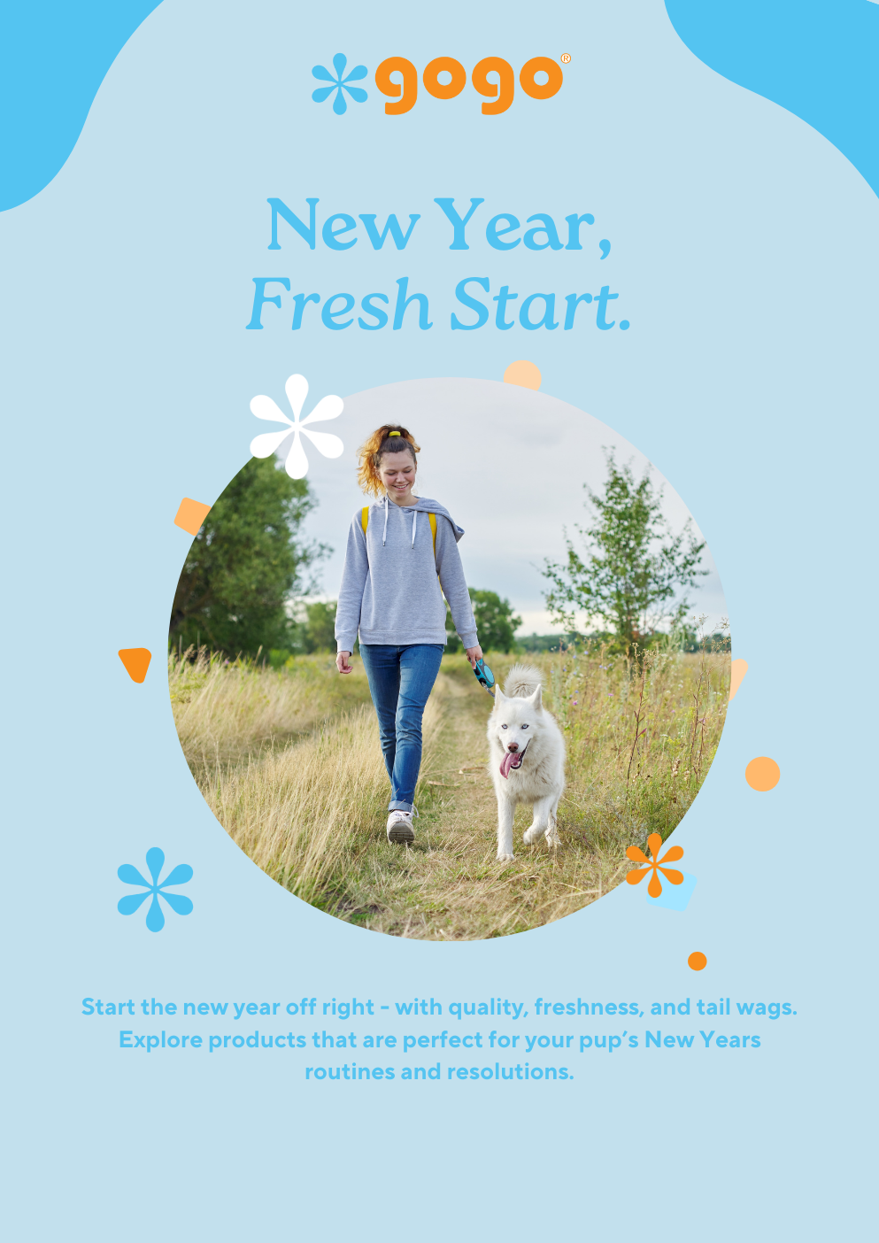 GoGo Pet Products Email Newsletter Marketing - Kristina Nihan Design Marketing UX UI Small Business