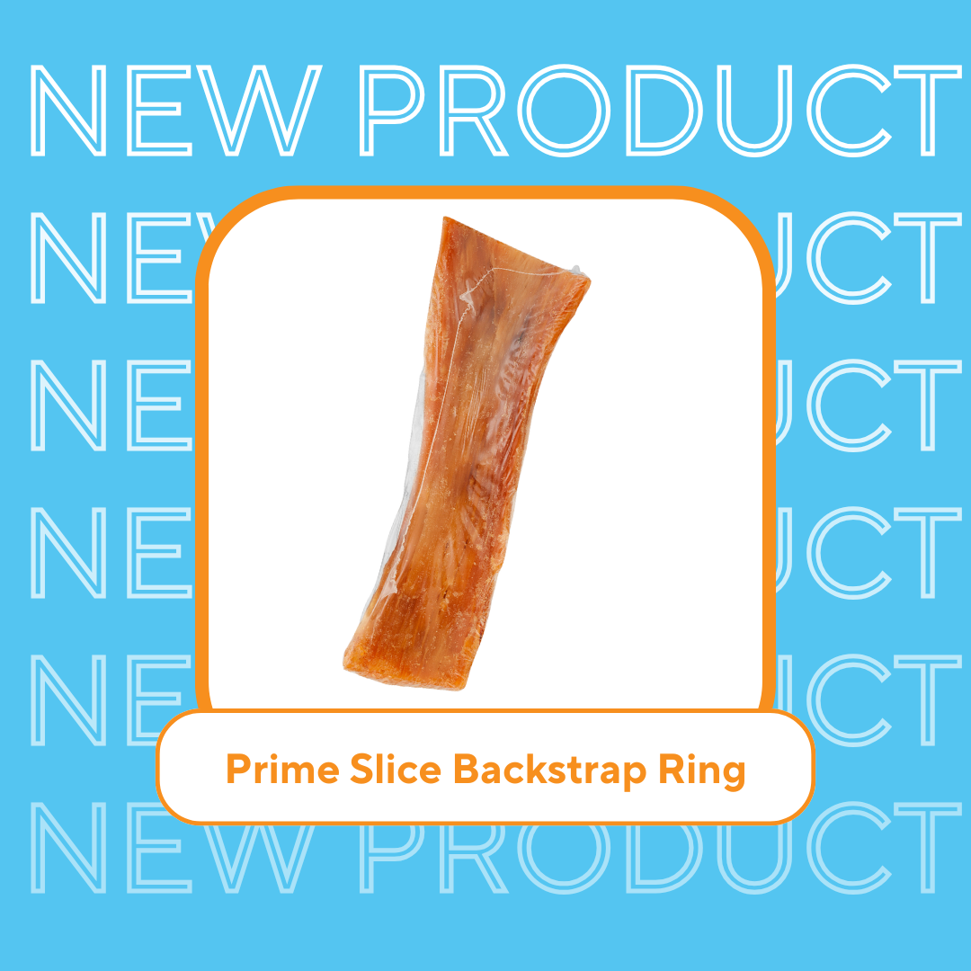 GoGo Pet Products Social Media Marketing - Kristina Nihan Design Marketing UX UI Small Business Contractor