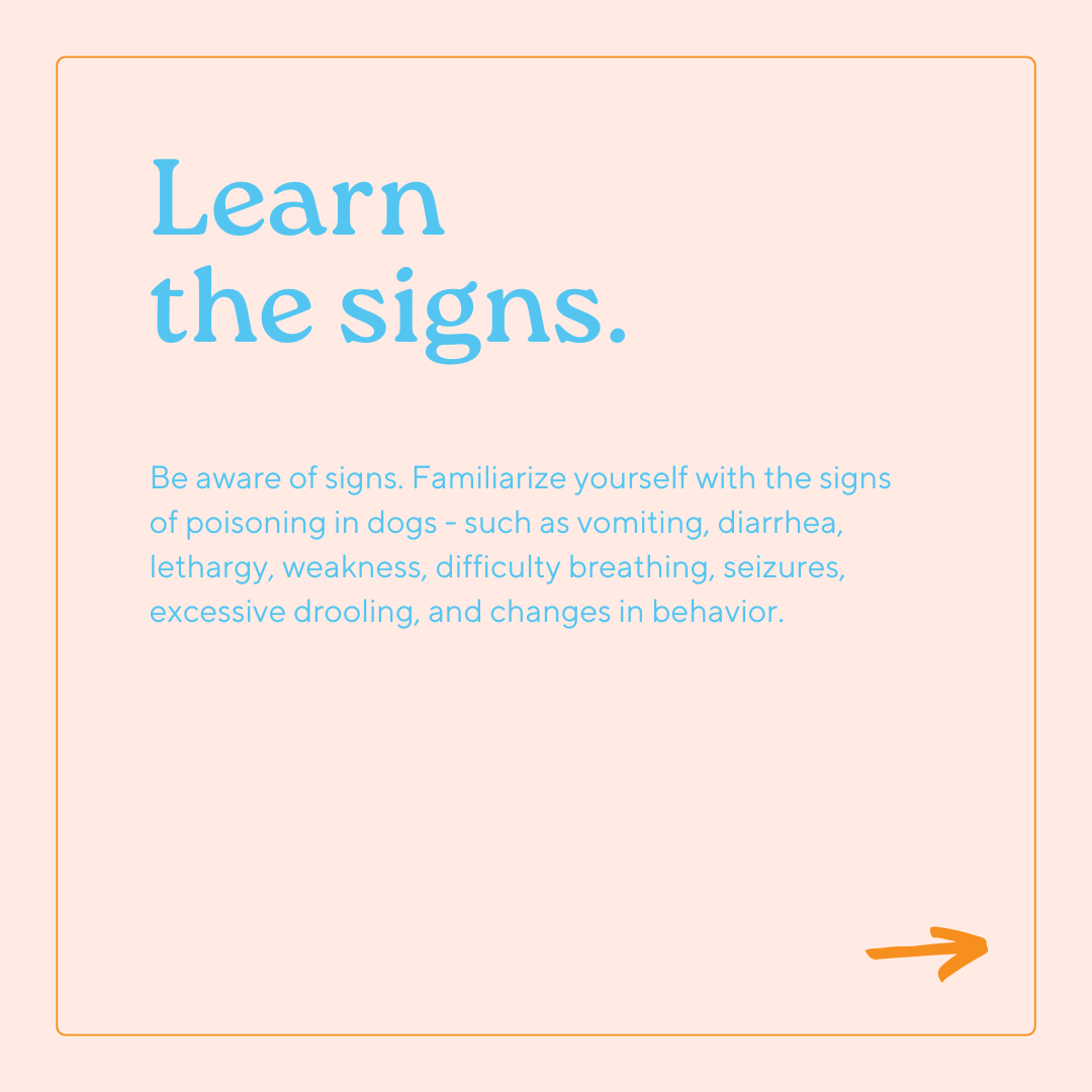 GoGo Pet Products Social Media Marketing - Kristina Nihan Design Marketing UX UI Small Business Contractor