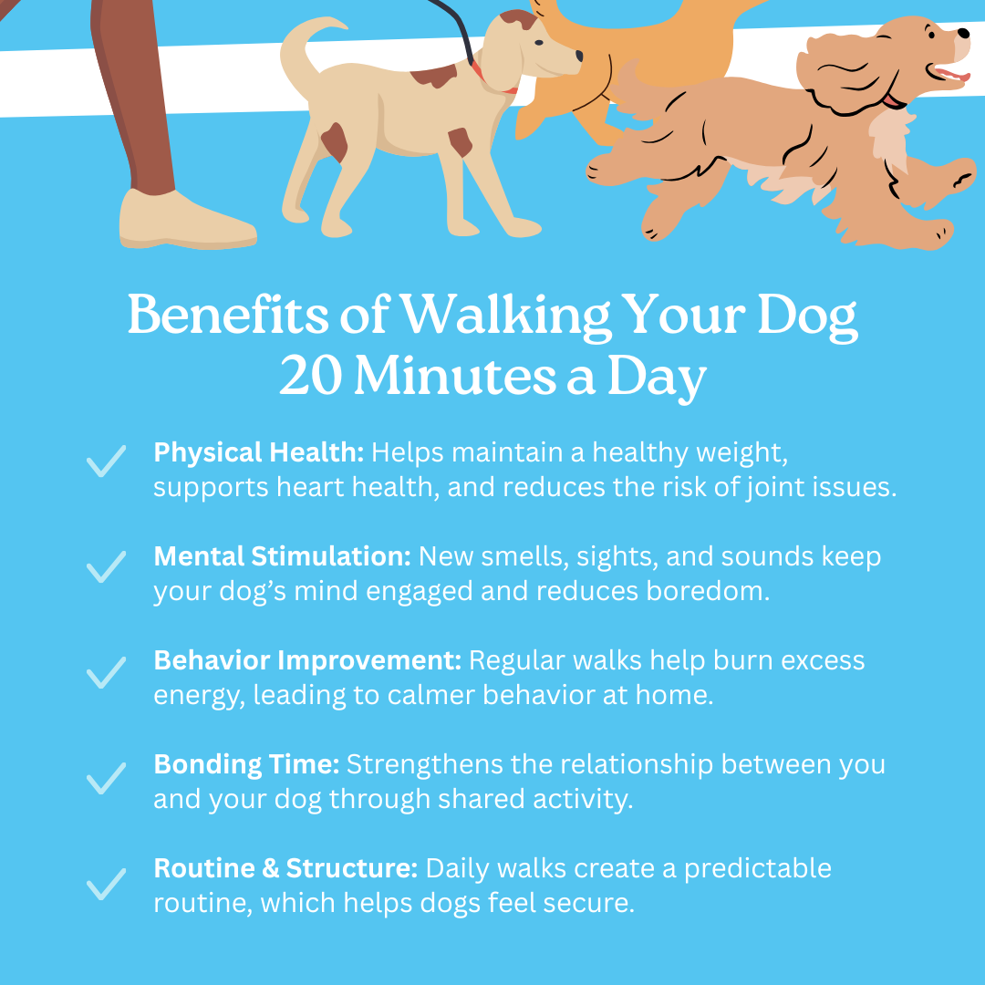 GoGo Pet Products Social Media Marketing - Kristina Nihan Design Marketing UX UI Small Business Contractor