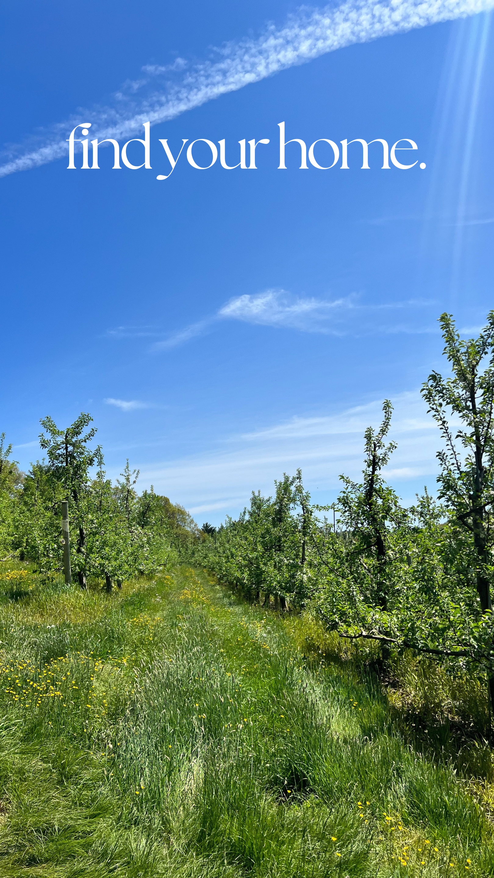 Travel Blog Content and Brand Design - Kristina Nihan Design Marketing UX UI Small Business Contractor