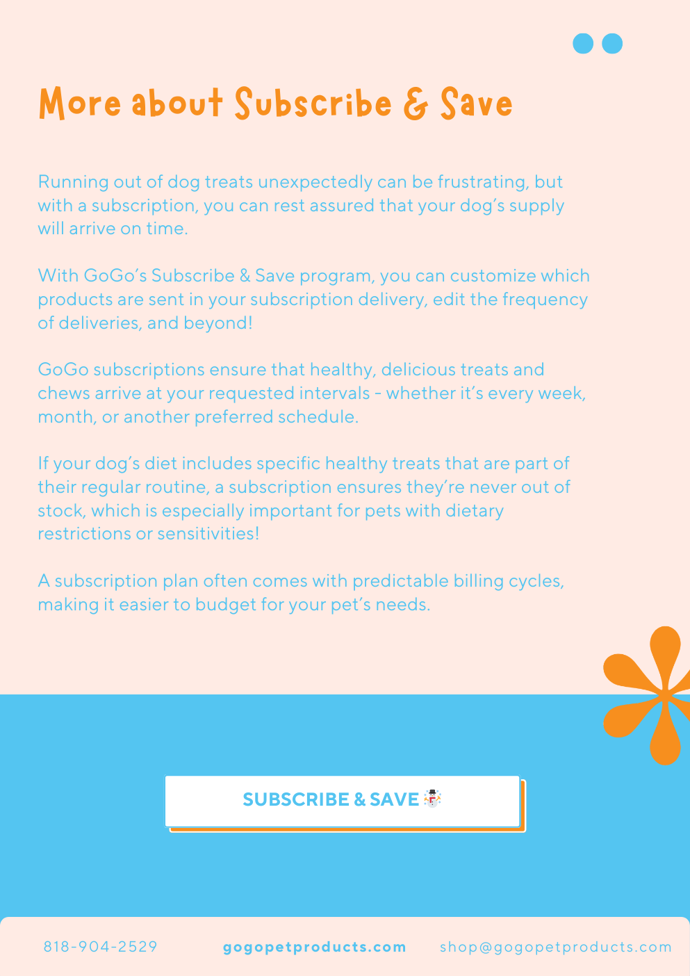 GoGo Pet Products Email Newsletter Marketing - Kristina Nihan Design Marketing UX UI Small Business