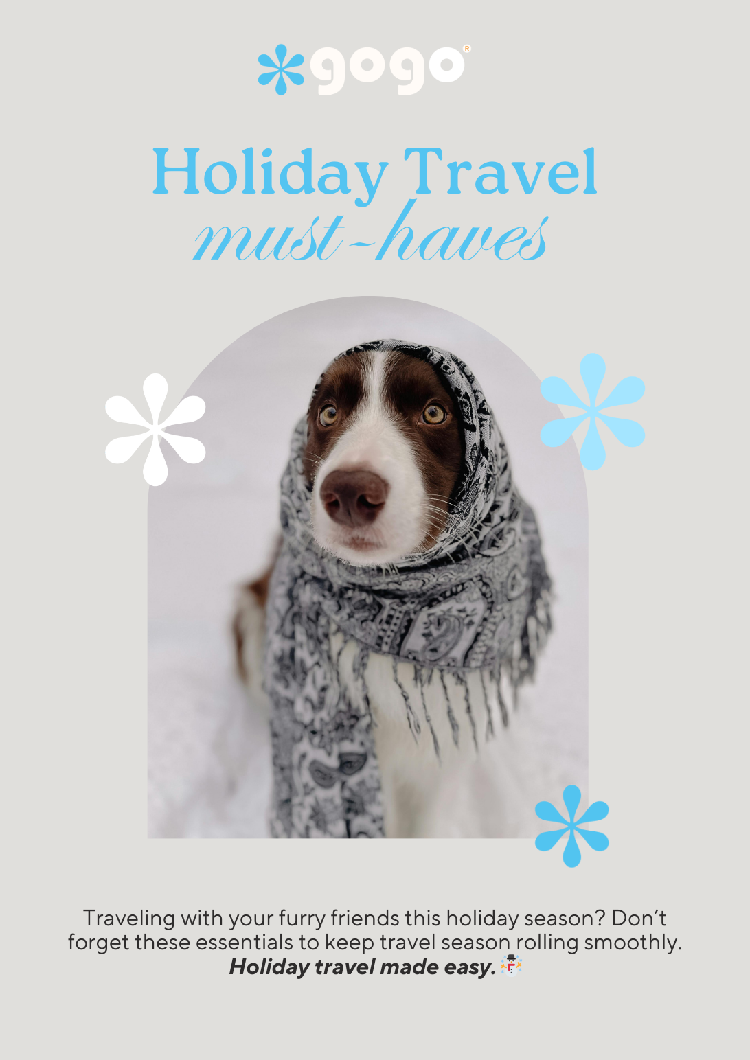 GoGo Pet Products Email Newsletter Marketing - Kristina Nihan Design Marketing UX UI Small Business