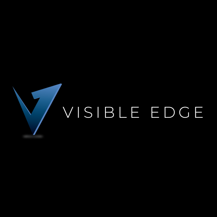 Logo for Visible Edge featuring a stylized V shape in blue and black with the text 'VISIBLE EDGE' in white.