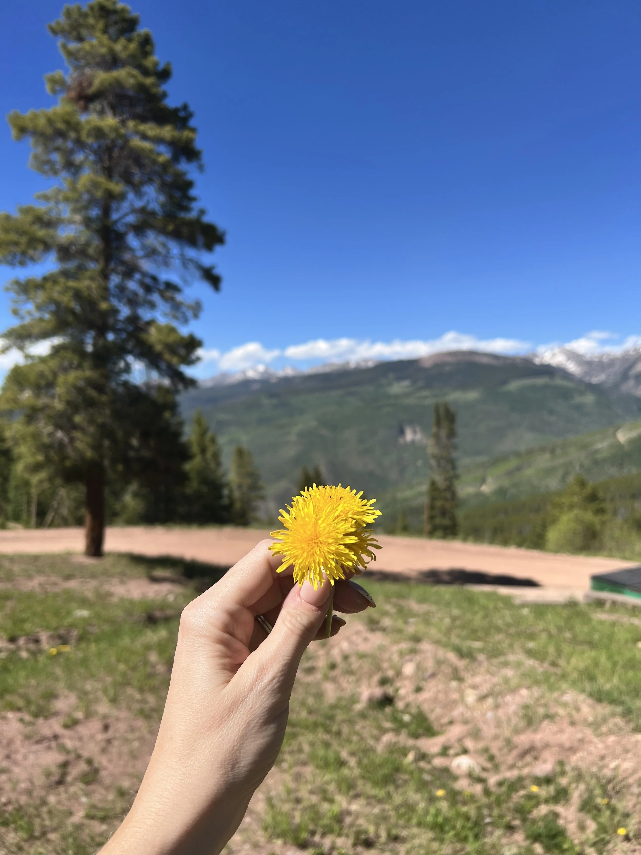 IMG_6535.jpeg