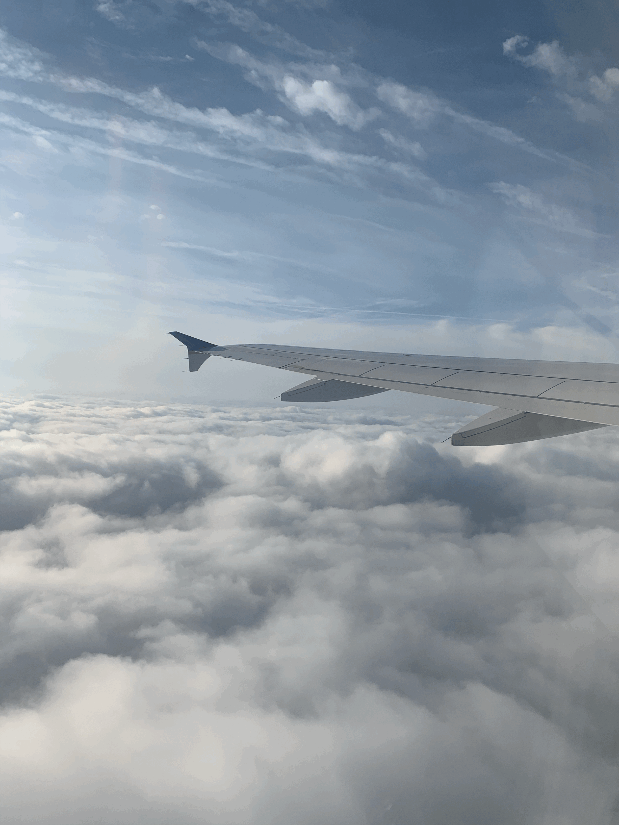 Travel Insurance - Is it worth it?
