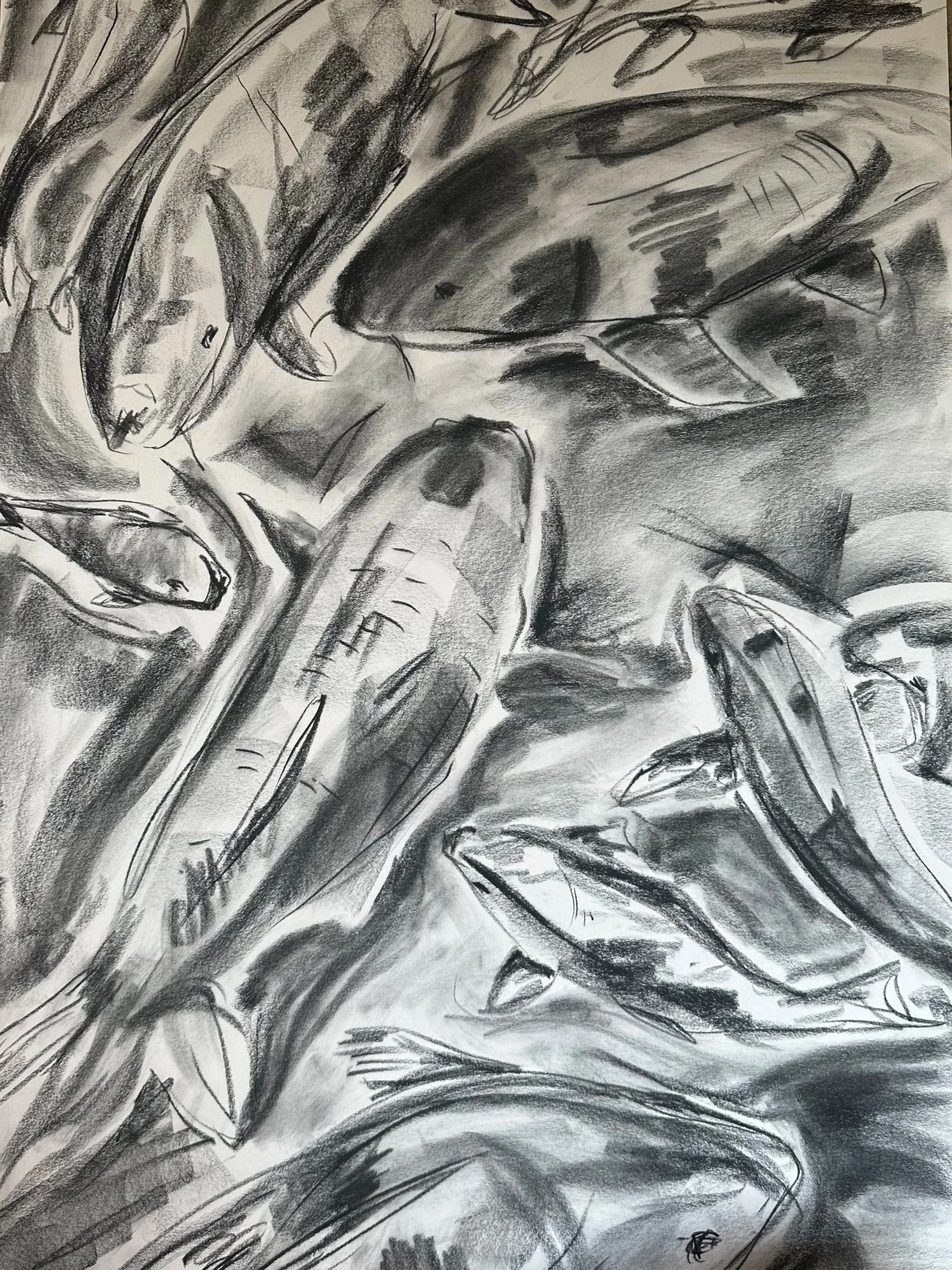"Untitled 4", 30x22in, Charcoal on paper