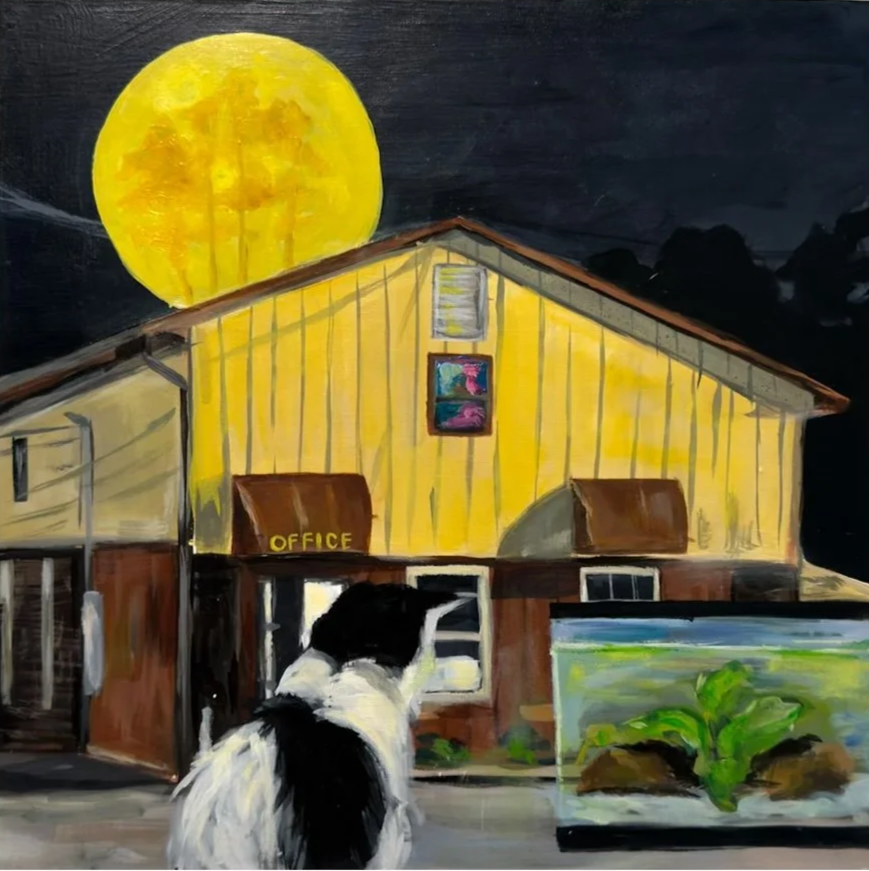 "Watching and Waiting", 2026, Acrylic and oil on panel, 12x12