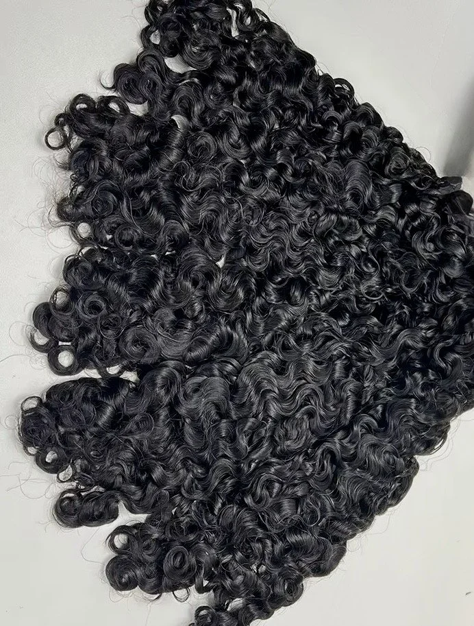 Burmese Curly