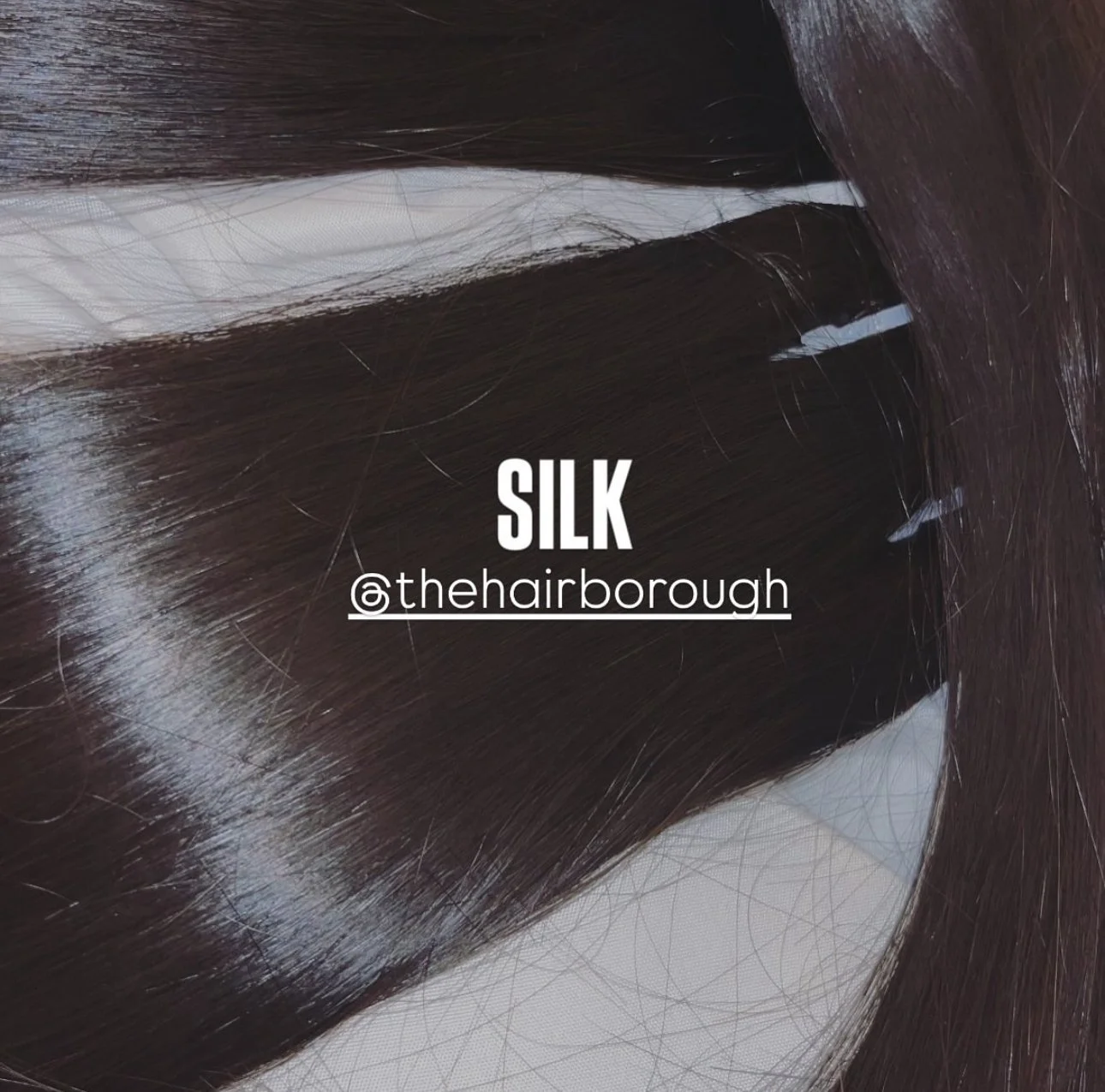 Close-up of straight, shiny, dark brown hair with a white hairnet showing underneath.