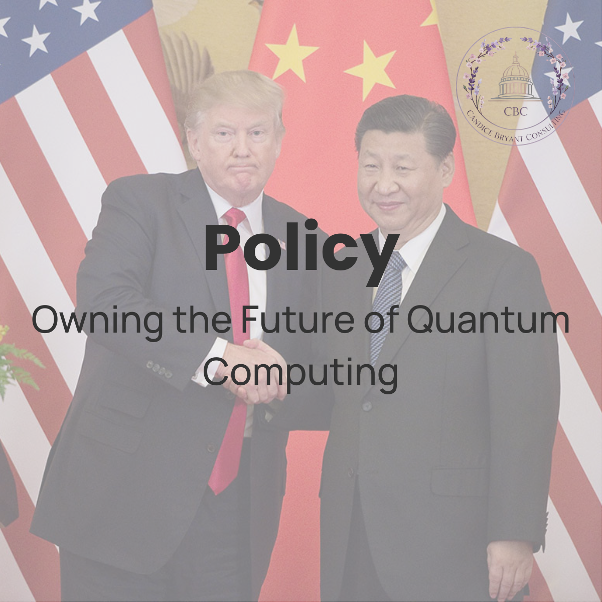 Owning the Future of Quantum Computing