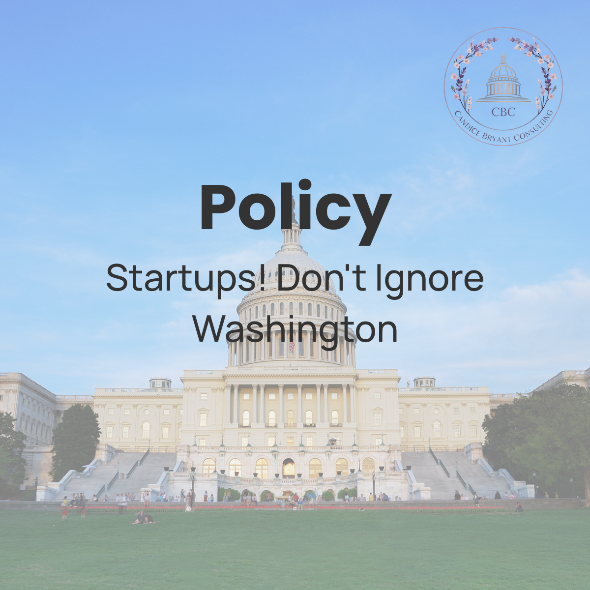 Startups! Don't Ignore Washington