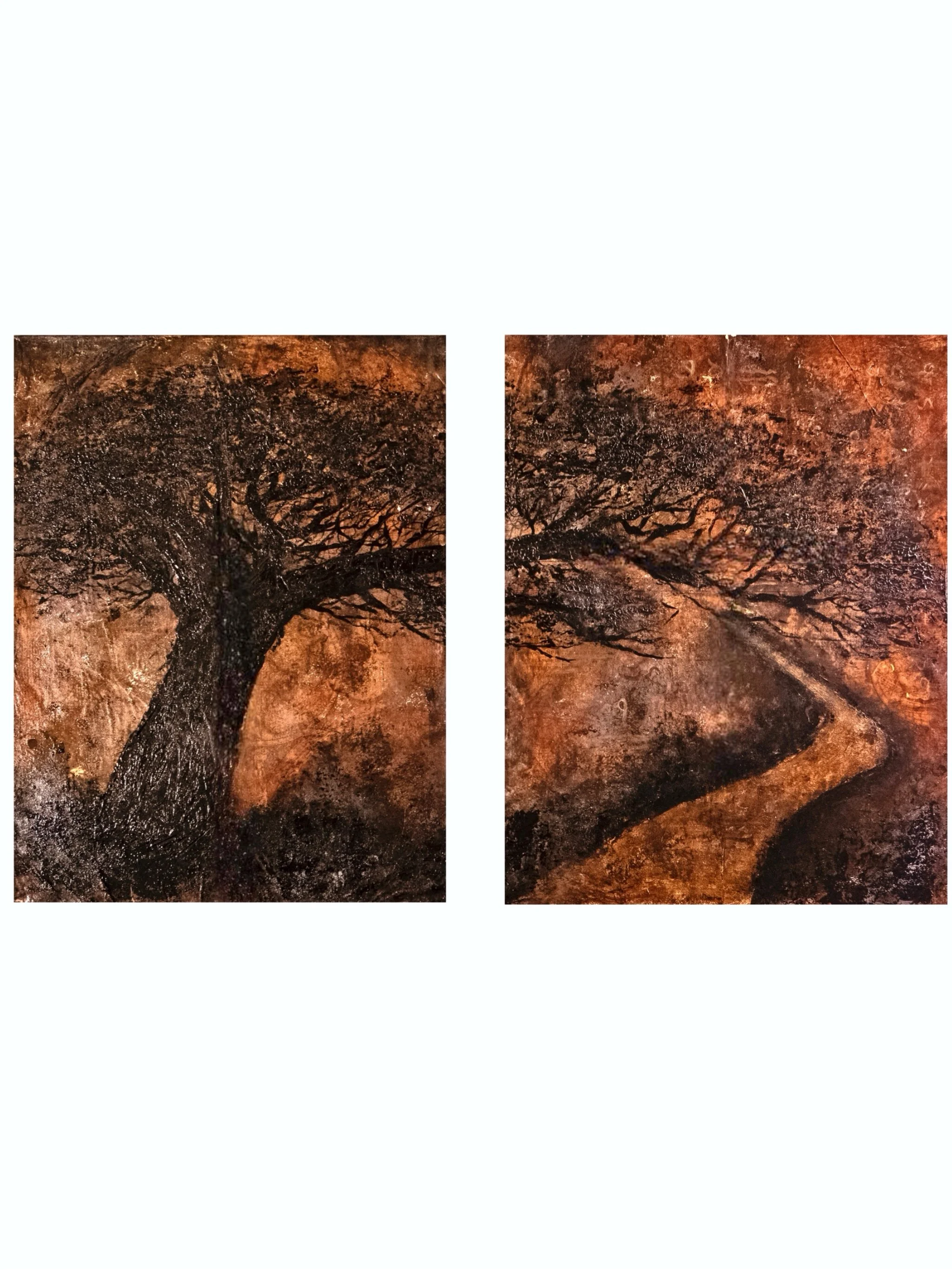 ASILLI | FIRST GROUND