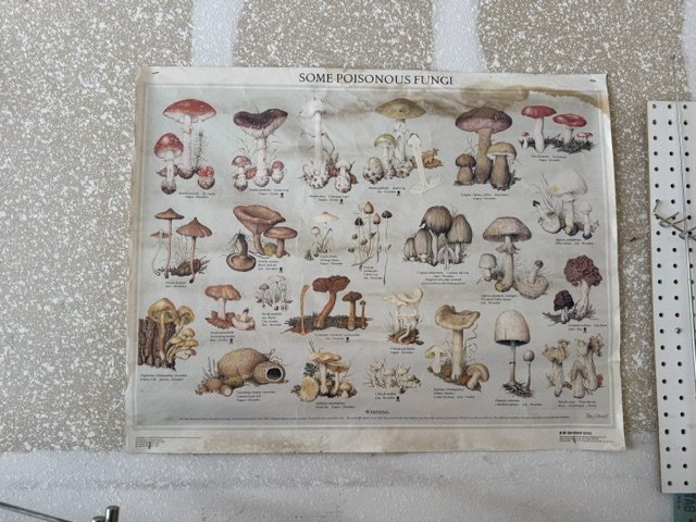 image8.jpeg