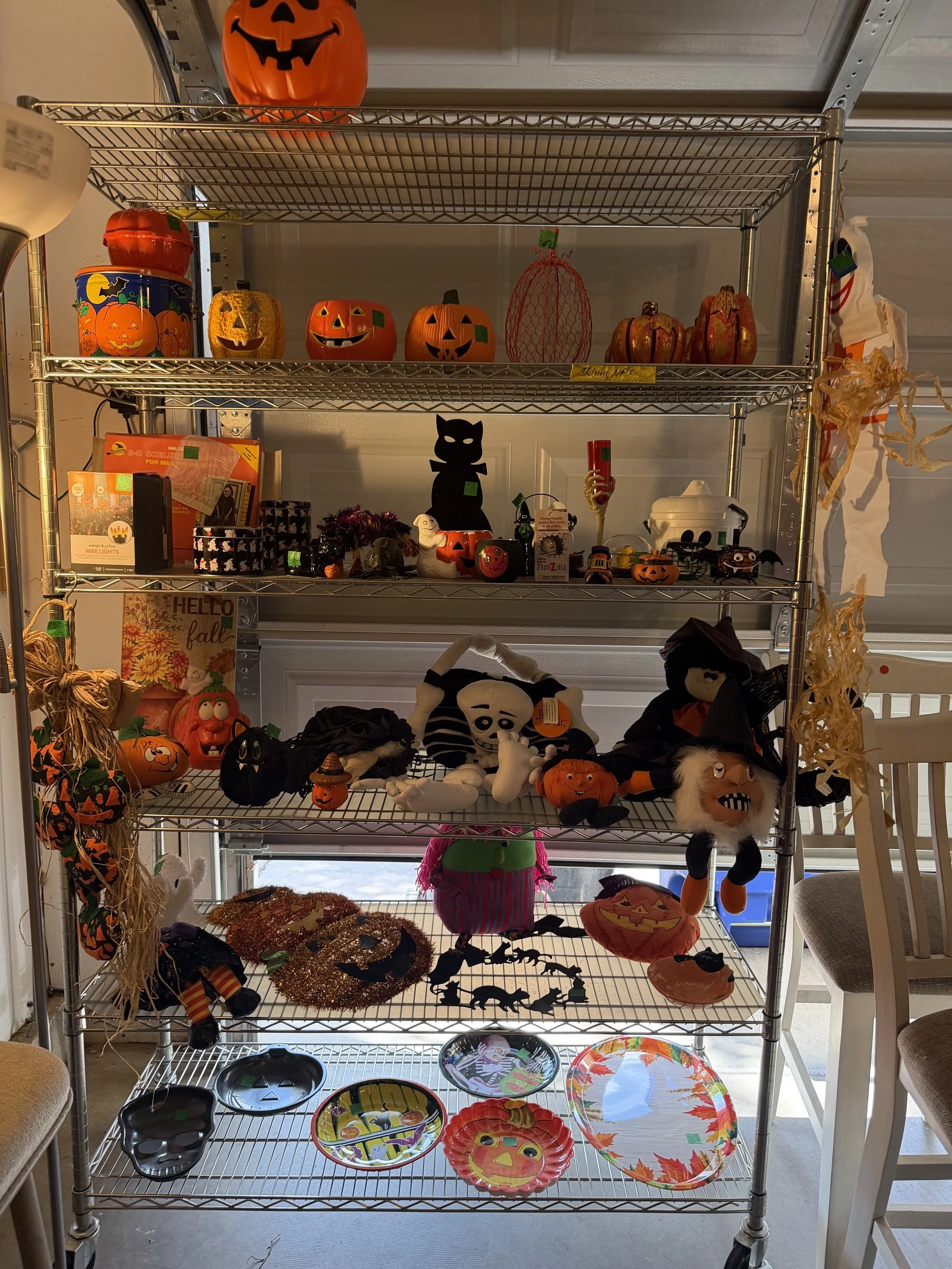 IMG_9249.jpeg