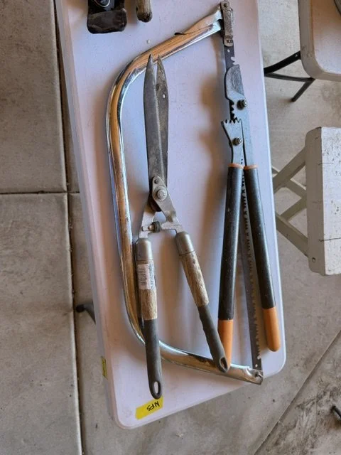 image6 (5).jpeg