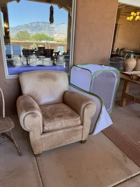 image6 (4).jpeg