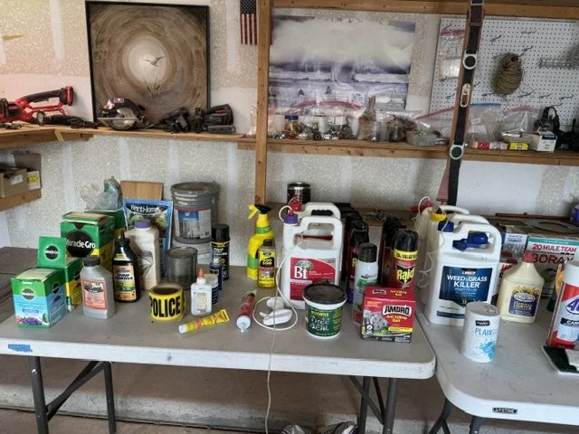 image3 (3).jpeg