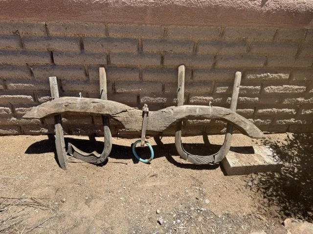 image7 (3).jpeg