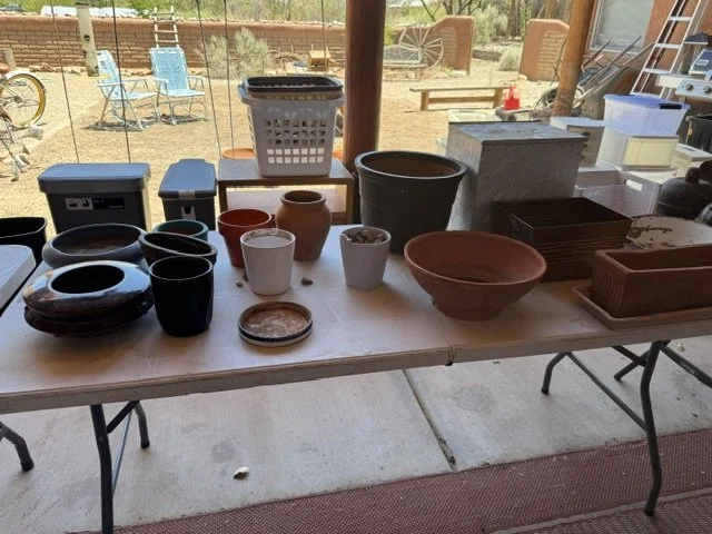 image1 (6).jpeg