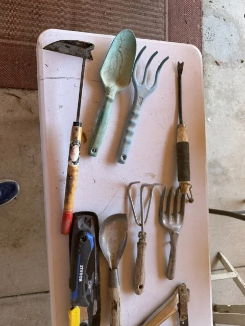 image7 (5).jpeg