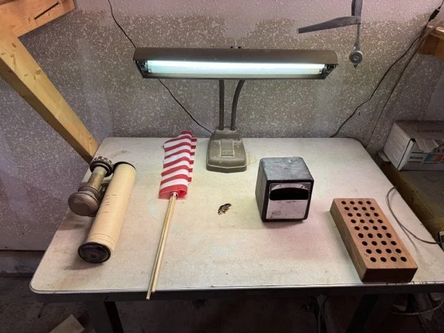 image5 (1).jpeg
