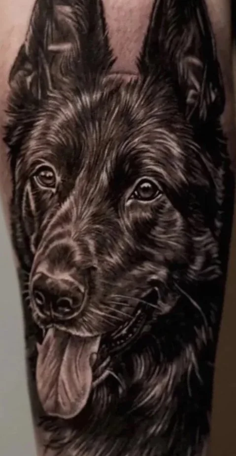 A realistic black and gray tattoo of a German Shepherd dog's face with its tongue out. A Memorial Tattoo done by Allan Mandi realism tattoo Artist from Knoxville Tennessee